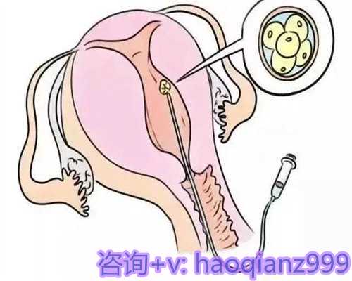 武汉代生妇代生网，武汉第三代试管婴儿成功率高不高？