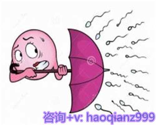 代生妇广州代生网,【广州供卵代生小孩】孕期记录，不断更新，坚持就是胜利