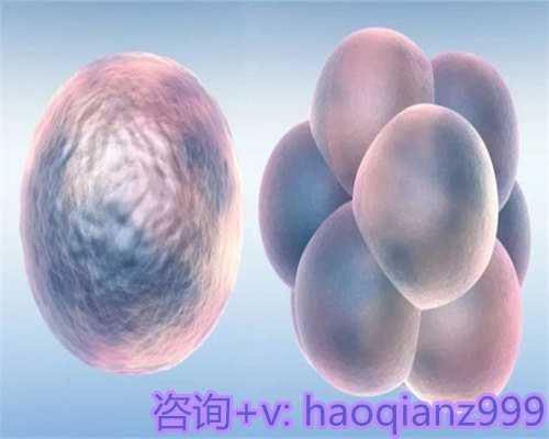 广州ivf代生，广州供卵试管代生医院排名