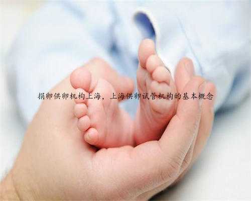 捐卵供卵机构上海，上海供卵试管机构的基本概念