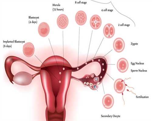 性激素六项正常，但是彩超提示卵巢内有12个以上