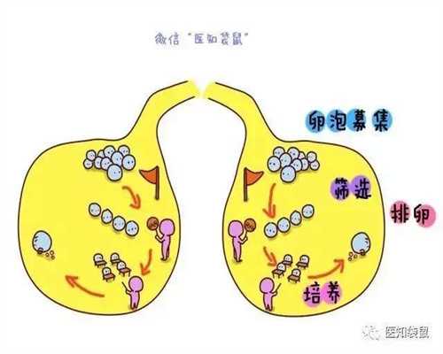 妇产科医生建议，代北京代孕期这样做避免剖腹