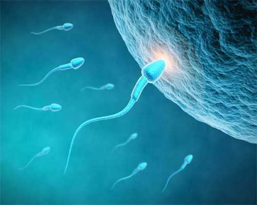 精子和卵子结合需要多长时间同房后多久受孕8
