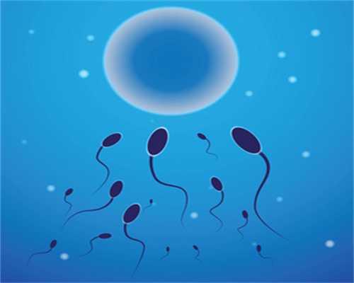 卵泡发育缓慢：寻找代孕女
