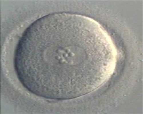 精子与卵细胞结合的场所是101