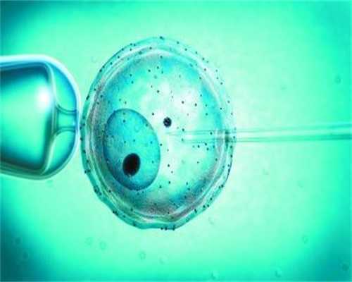 精子卵子大小236：代孕是自己的卵子吗