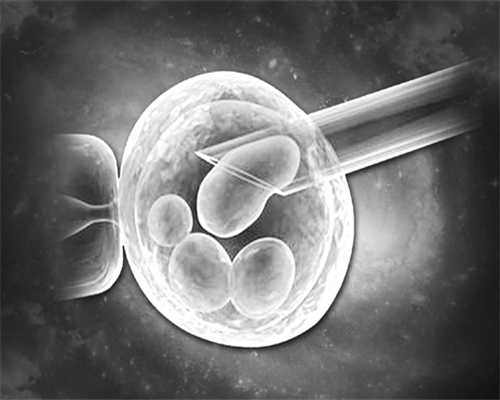 生命的起始是精子和卵子的结合