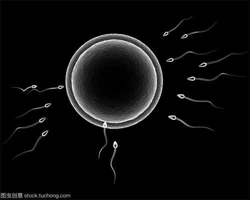 排卵期吃了感冒药影响卵子质量吗176：angelababy代