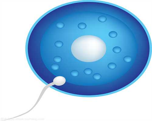 精子与卵子顺利结合的过程(310)