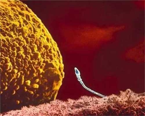 精子与卵子顺利结合的过程(114)：古代孕妇流产视