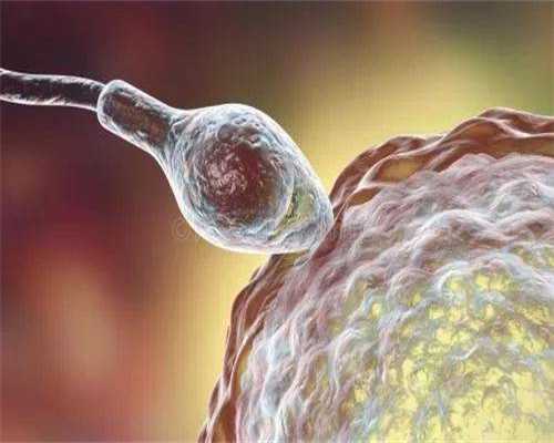 精子和卵子结合需要多长时间精子和卵子结合的