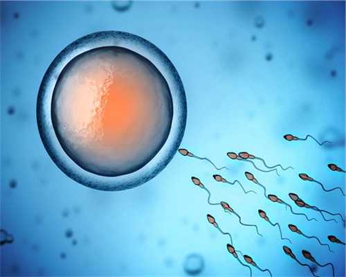 卵子和精子着床相结合前的过程(671)