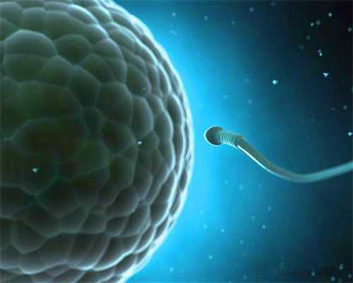 精子与卵子结合成受精卵后着床过程图(229)