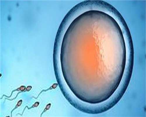 卵子和精子是在哪里结合(487)