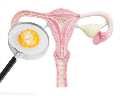 精子和卵子结合需要多长时间同房后多久受孕(