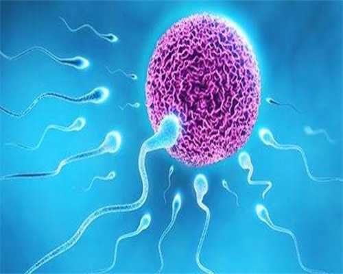 生命的开始直击精子和卵子相遇全过程(319)