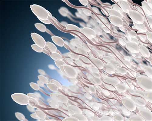 精子与卵子结合成受精卵并且在子宫内着床需(