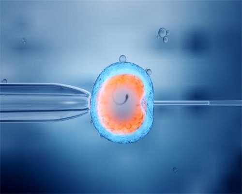 人类的精子发生与卵子发生的过程有何异同，这