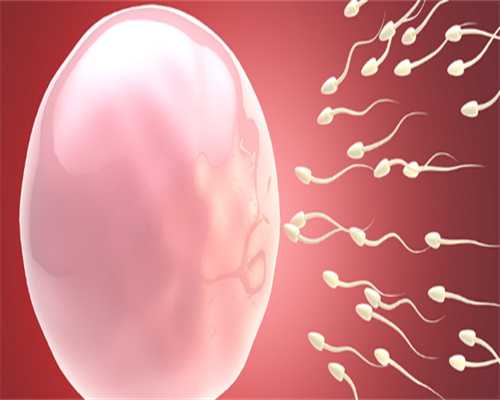 求助怎样快速从小鼠输卵管中取出卵母细胞