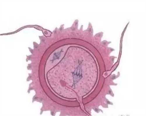 卵子排出后多久能到达输卵管受孕