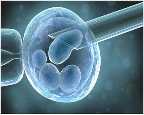 一个卵细胞从产生到成熟排出需多长时间