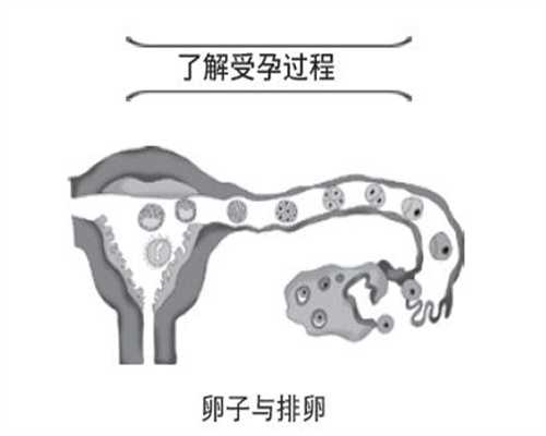 台湾每年有好多女孩捐卵:精子活力低，靠吃药能