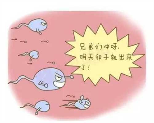 南宁捐卵贴吧:想生聪明聪明宝宝，上海捐卵机构