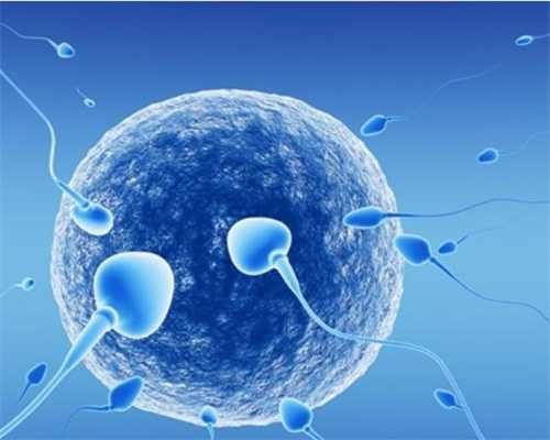 美国试管婴儿囊胚移植成功率达80%