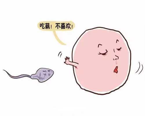 北京捐卵子，冻胚的成功率和鲜胚的成功率相比
