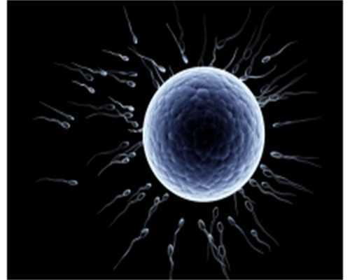 沈阳捐卵网：畸形精子指数多少正常？