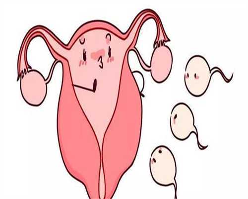韩国捐卵，二胎计划已经实施 不孕家庭的一胎如