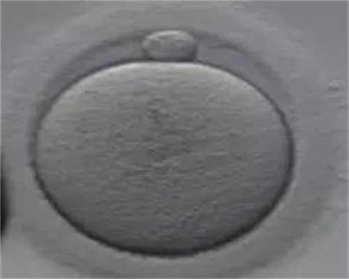 捐卵移植双胎，卵泡冲洗会影响卵子质量吗？
