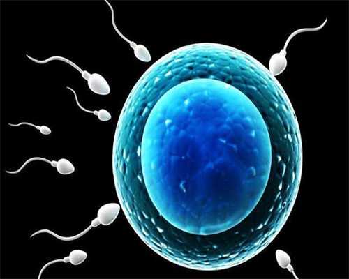 兰州捐卵群，病理性的卵巢疾病特征