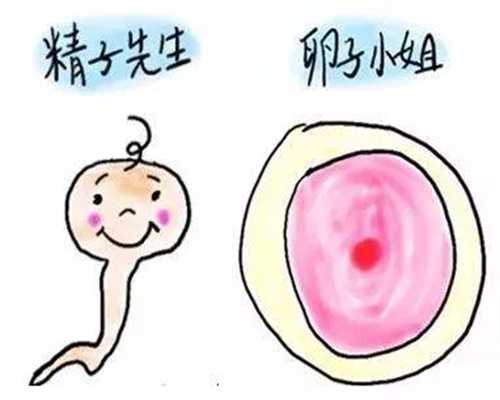 人工授精郑州捐卵女孩-取卵疼吗