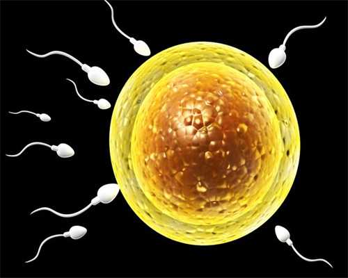 贵阳捐卵_五种女性，备孕前先检查卵子质量!在考