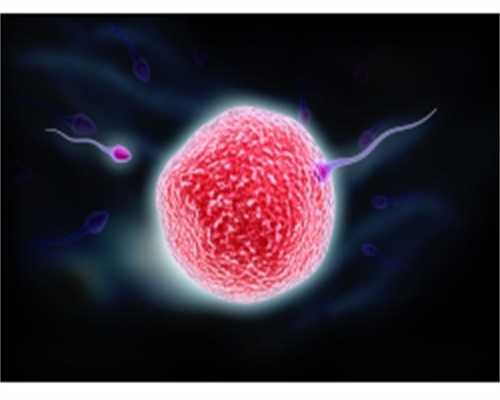 柳州捐卵_柳州捐卵网：排卵期出血怎么办？