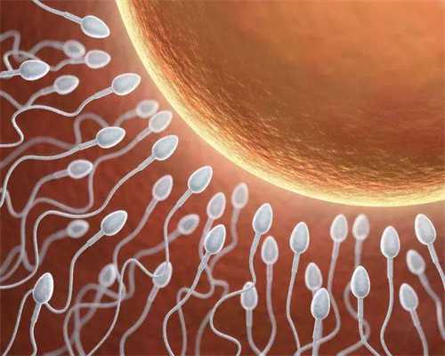 荷兰正规捐卵医院-多囊卵巢综合征如何影响生育