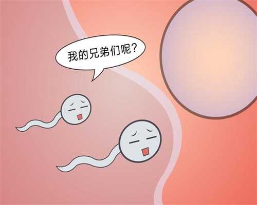 清远捐卵机构,台湾供卵试管怎么样