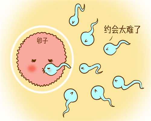 许昌去哪里捐卵-去广州供卵试管做试管婴儿的中介机构怎么选？
