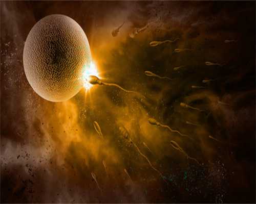 成都~卵巢4个周期各有不同卵泡监测发育情况要找准时间