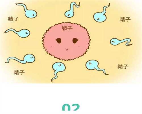 郑州女生捐卵-昌江高龄试管婴儿怀孕，提高卵子质量应该怎么吃？