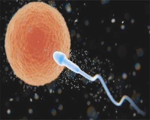 黑龙江急招捐卵_卵母细胞体外成熟科普，不熟卵子未完的缘分