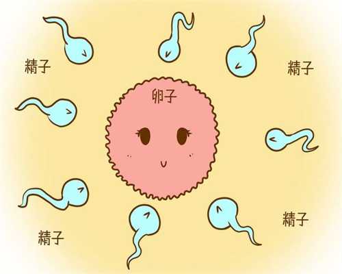 需要高薪捐卵~多囊卵巢综合征做广州供卵试管试管，成功怀孕的几率有多高？