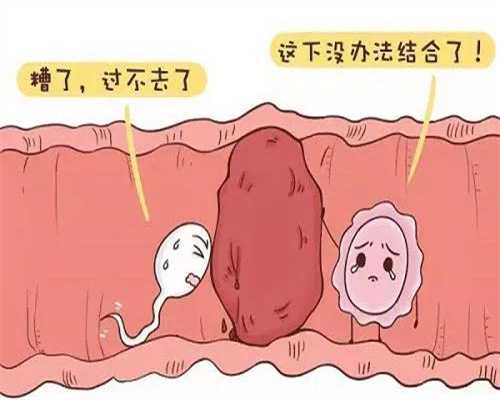 扬州捐卵哪里好_88年妈妈自述：闭经、内膜0.4、卵泡长得慢、输卵管伞端粘连