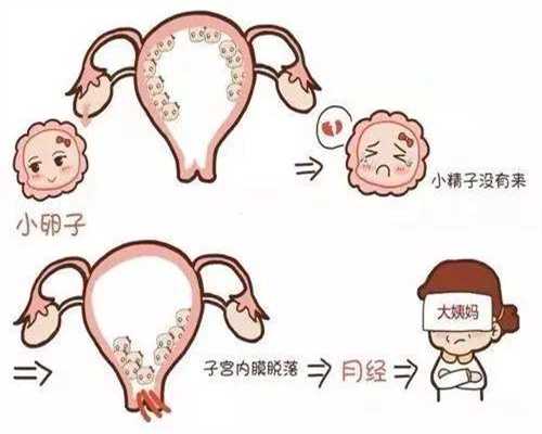 天津正规捐卵费用_供卵试管婴儿体外受精的过程_1