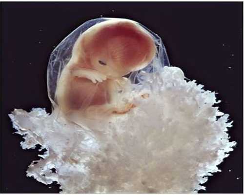 北京大同捐卵-促排卵会引起卵巢早衰吗？