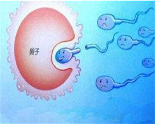 济宁正规捐卵公司,美亚麟喜科普：卵巢早衰做试管婴儿步骤有这8个_1
