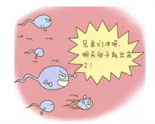 华人找人捐卵_广州供卵试管试管流程中，这四个重要阶段你要注意_1